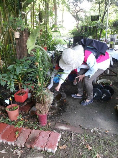 Health Bureau, Taichung City Government Calls on Citizens to “Inspect, Invert, Clean and Rub” to Stay Away from the Threats of Dengue Fever